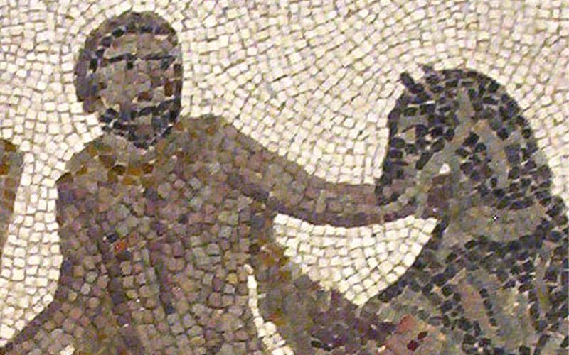 En este momento estás viendo Robar las yeguas de Diomedes – Octavo trabajo de Hércules
